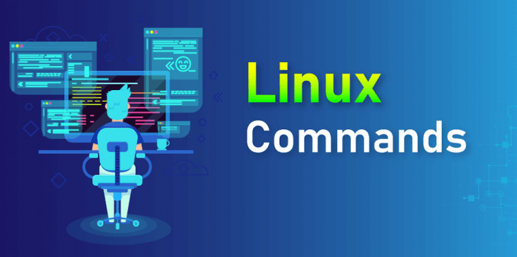 The most important Terminal commands in Linux