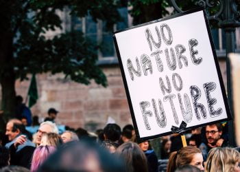 Education is the key: Why should schools join forces for a sustainable future?