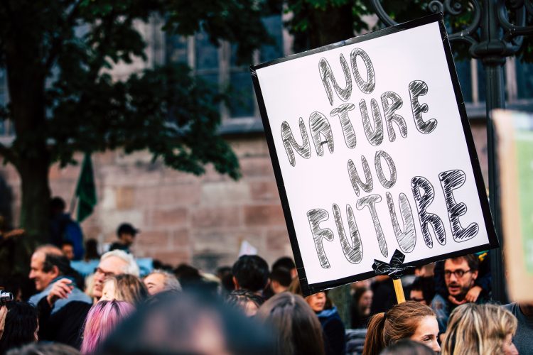 Education is the key: Why should schools join forces for a sustainable future?