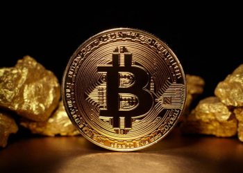 What Do Bitcoin Wallets Include? Which Is A Well Known Platform To Use It?