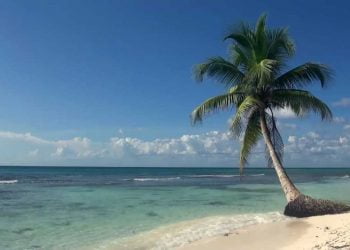Tips and Benefits of a Perfect Beach Trip