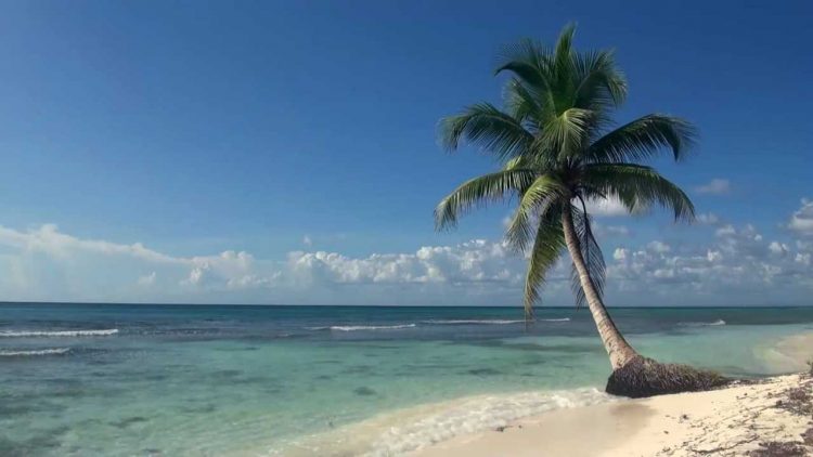 Tips and Benefits of a Perfect Beach Trip