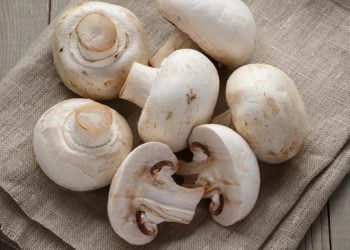 GROWING CONDITIONS FOR MUSHROOM FRUITING CHAMBERS