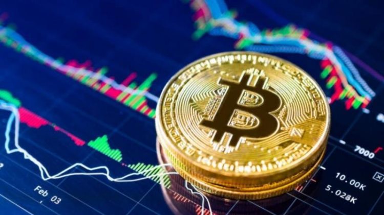 Best Bitcoin Android Wallets of 2021