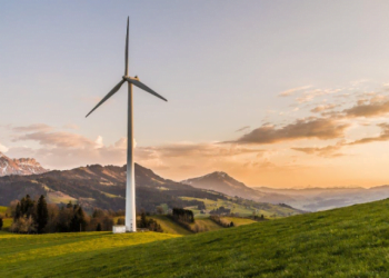5 Sustainable Business Practices to Consider for 2021