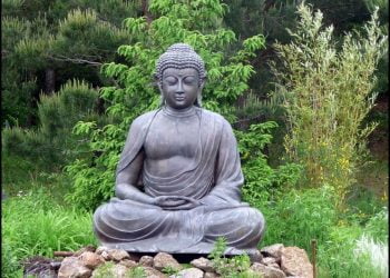 A Comprehensive Guide to Buy a Garden Buddha Statue for Your Backyard