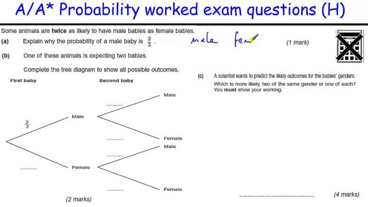 Top 10 tips on how to prepare for a probability exam