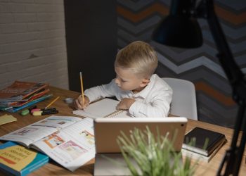 Using PDFs in Distance Learning