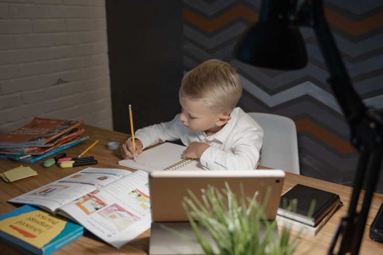 Using PDFs in Distance Learning
