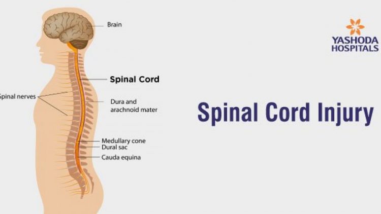Spinal injury: The Importance Of getting First Aid Right