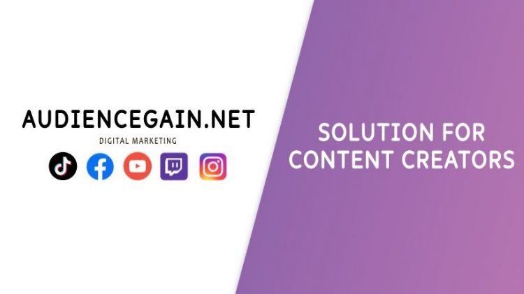 AudienceGain Reviews – What does AudienceGain.net provide?