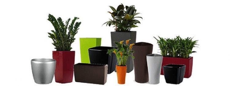 Easy Method to Pot a Plant