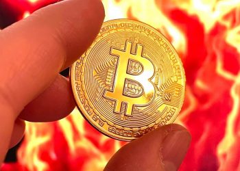 Bitcoin with Governments: Why Do They have Disagreement?