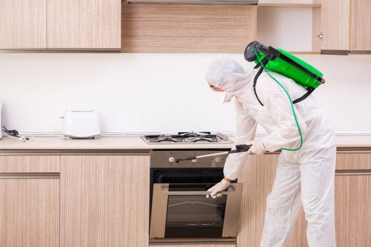 Why use a rat control company?
