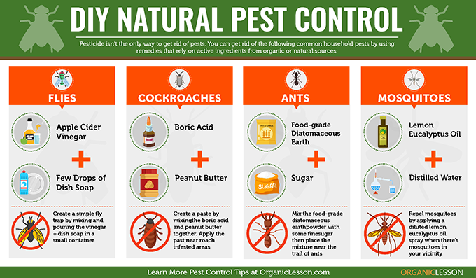 Making homemade pest control solutions - Appropedia, the