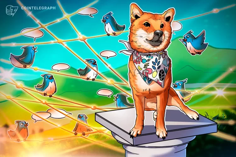 ARE MEME TOKENS RISKY?