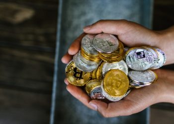 THEY HAVE THEIR FORTUNE IN FOUR SECRET VAULTS, THEY ARE KNOWN AS THE BITCOIN FAMILY