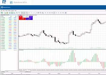 Everything you need to know about Robo Forex