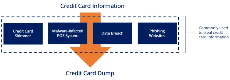 How To Use A Dump Card: The Ultimate Guide
