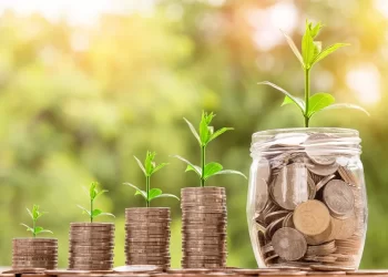 5 Tips for Growing Your Wealth