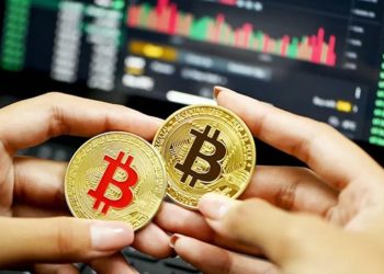 Profitrade247 Review