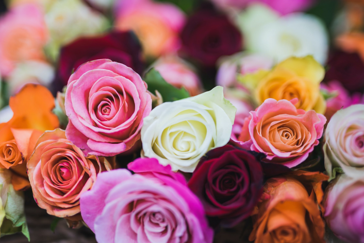 The 3 Style Trends of 2022 in the field Flowers