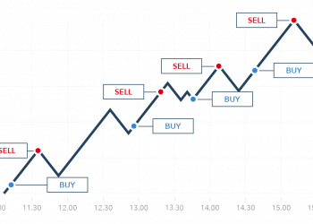 Overview of the bitcoin investment details&nbsp;