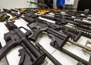 Gun Rights Take Center Stage, And a New Firearm Market is Growing