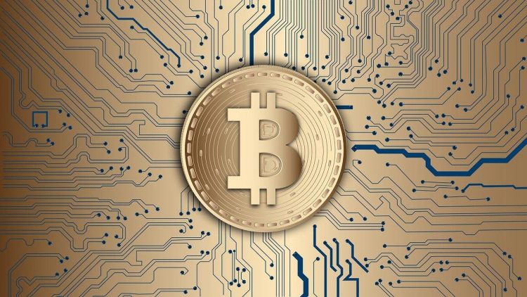 Spartan Trade Review: Paving the Way for Passionate At-Home Investors around the World