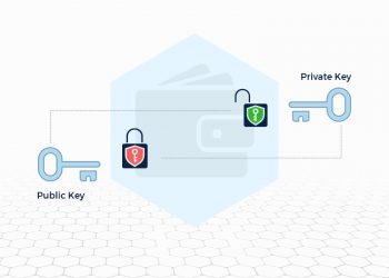 Crypto Wallets, Public and Private Keys – ways to protect them