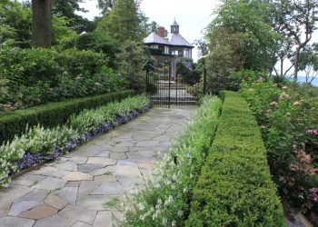 Garden Improvements Tips and Tricks&nbsp;