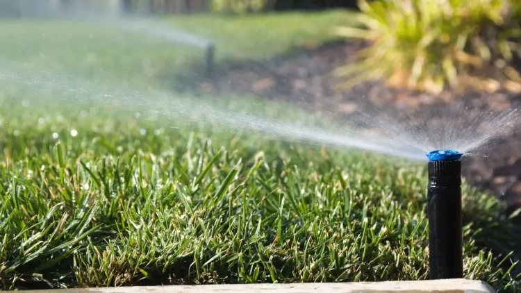 Your Seasonal Home Maintenance Checklist Based on Where You Live: Get the House Ready to Sell in Any Climate