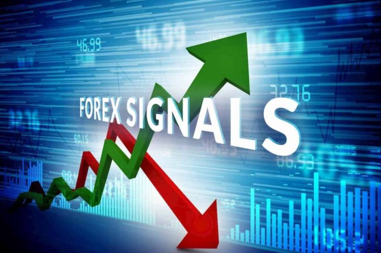 Can I use free forex signals?