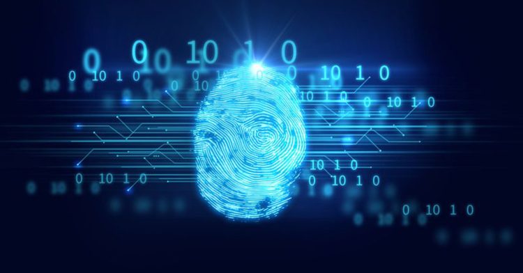 Encrypted crypto transactions attract a heavy influx of users