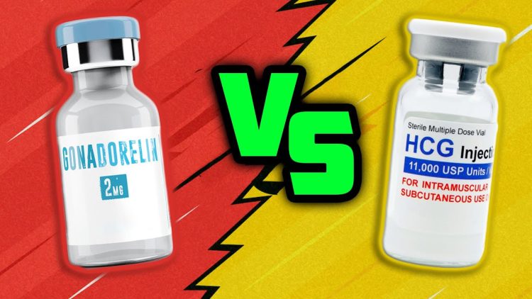 HCG Versus Gonadorelin- Which is better?