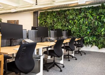 Ways to Save Money When Your Business is Growing
