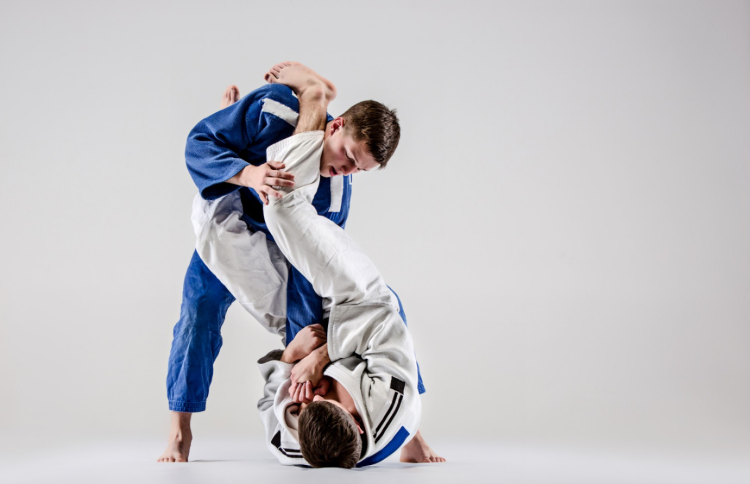 Learning Traditional Martial Arts Techniques