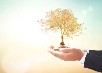 How To Secure Your Future Through Wealth Management 