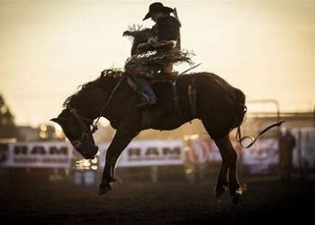 stetson-wright-age