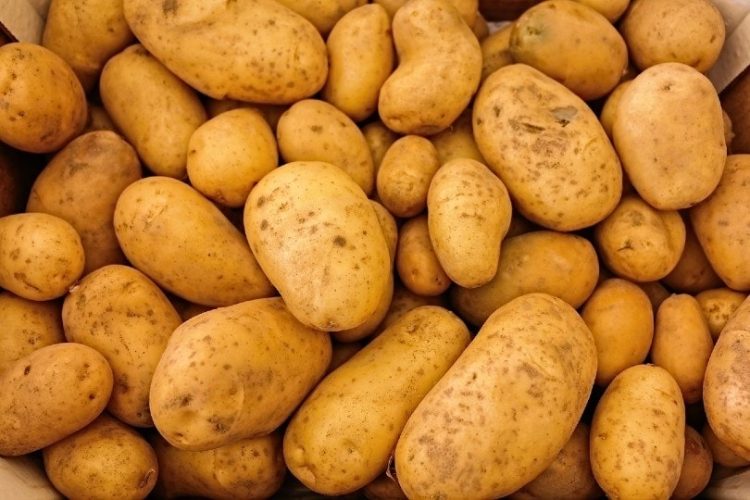 A Guide to Preparing Potato-Based Meals for Cats