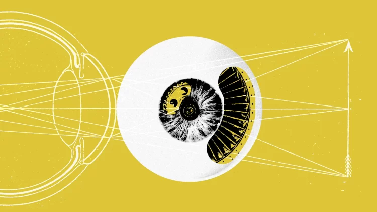 Transforming Pixels into Concepts: Rethinking Digital Possession within WILD, the Wilder World