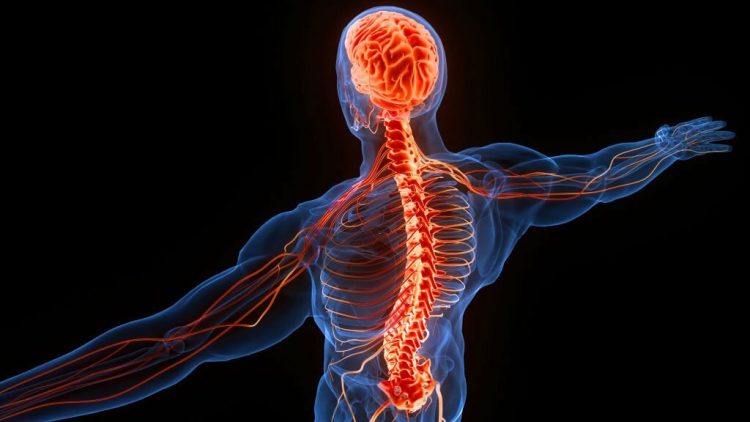 Coping with Spinal Injury: Navigating Insurance and Disability Benefits