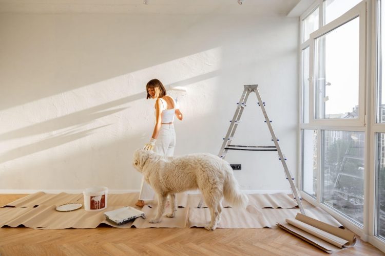 Peter Grimson Describes Aesthetic Elegance on a Budget: Affordable Home Renovation Tips and Tricks