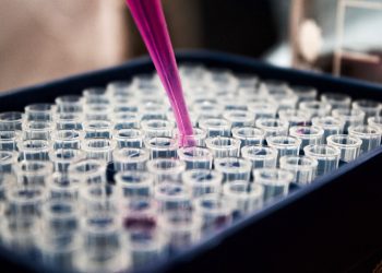 Gifts for Biologists: Celebrating Their Love for Life Sciences