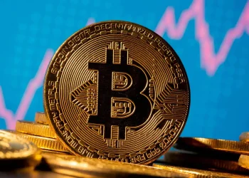 Viability of Bitcoin as National Currency: Case Studies and Analysis