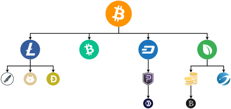 Does The Creation Of BTC Forks affect Bitcoin Price?