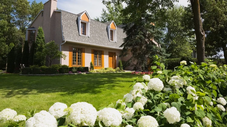 Exterior Painting Mastery: Effortless Success for Lasting Beauty
