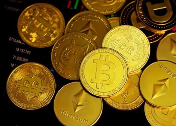 What to look for in a crypto project before adding it to your portfolio