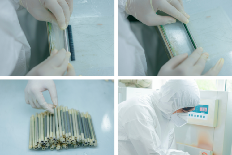 Insights from a manufacturer: What you may not know about lash curls and thicknesses