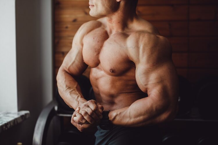 Increasing Muscle with Proper Diet and Exercise